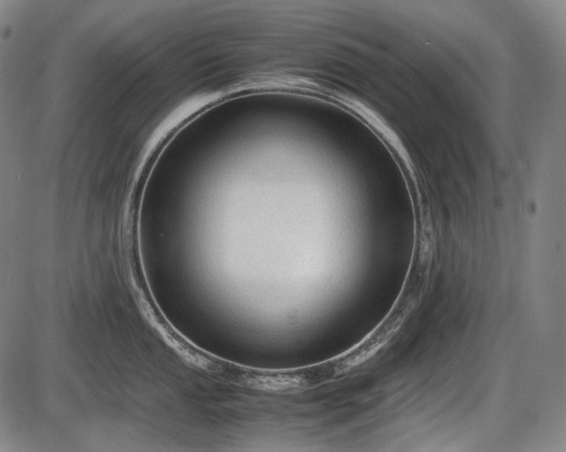 X0000086061053200703301036