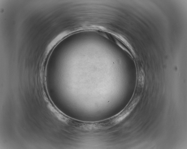 X0000086061054200703301036