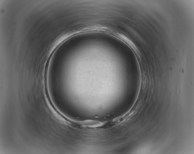 X0000086061055200703301036