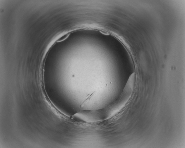 X0000086061056200703301036