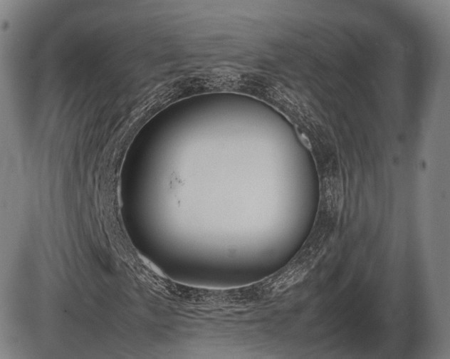 X0000086061057200703301035