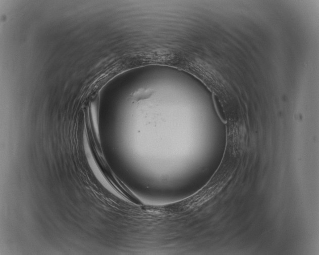 X0000086061058200703301035