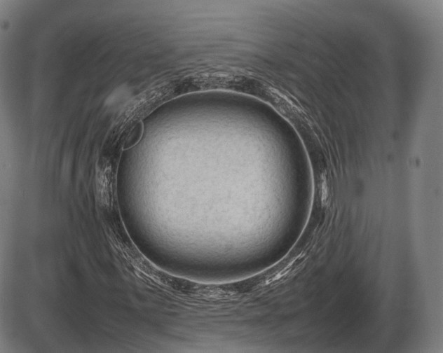 X0000086061059200703301035