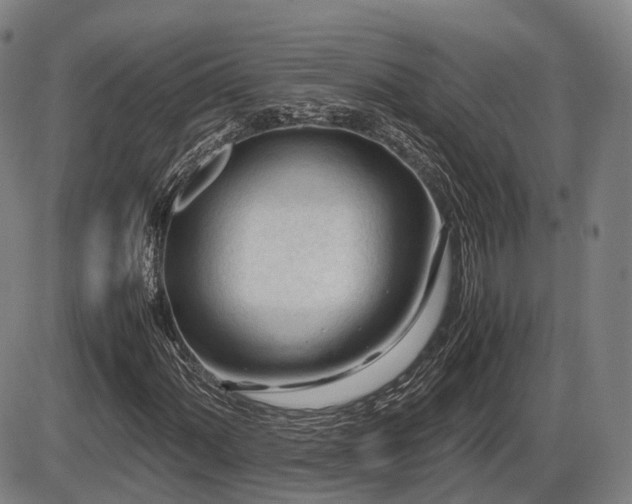 X0000086061060200703301035