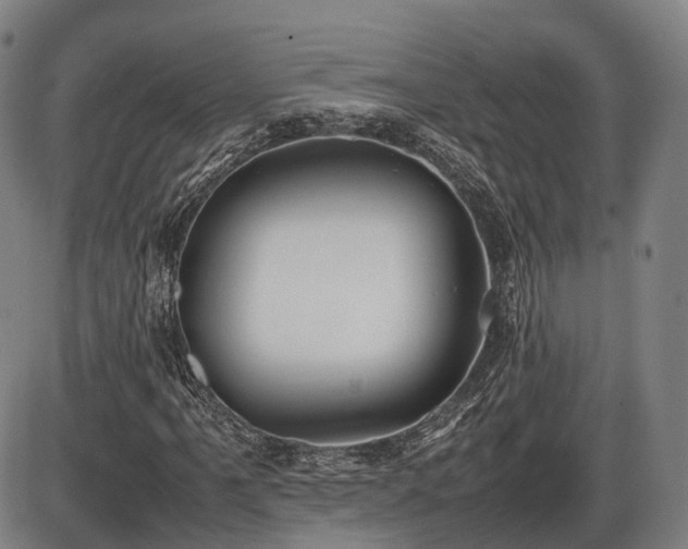 X0000086061061200703301035