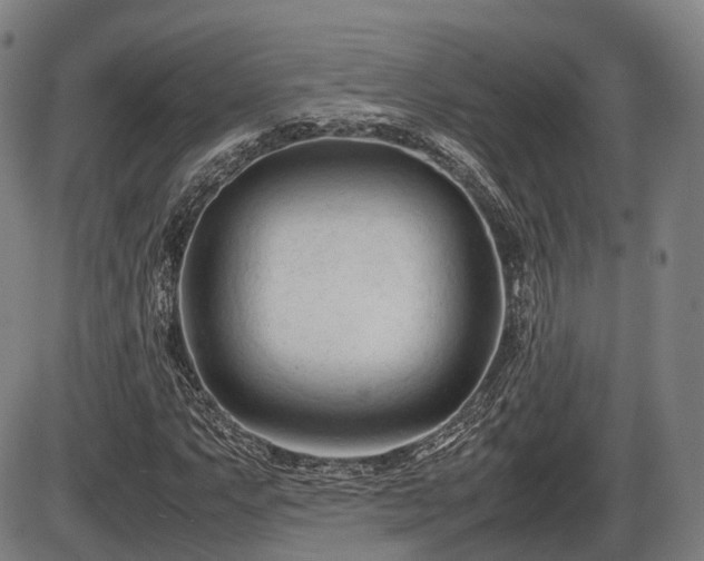 X0000086061063200703301035