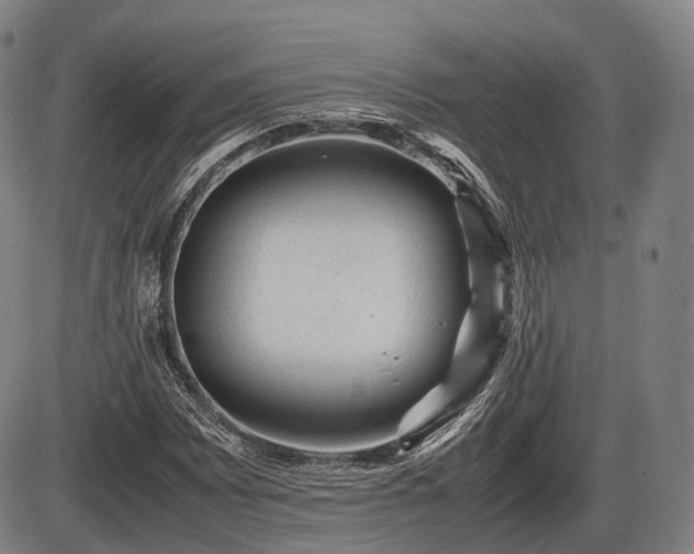 X0000086061065200703301035