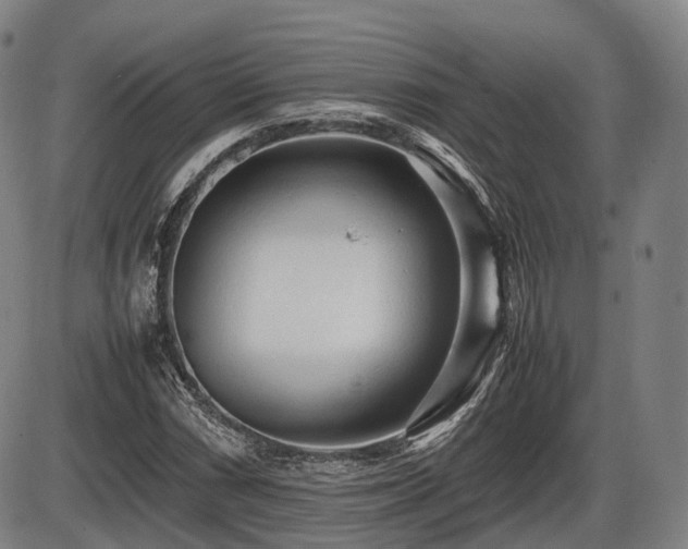 X0000086061066200703301035