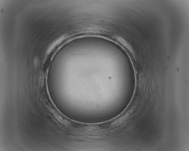 X0000086061067200703301035