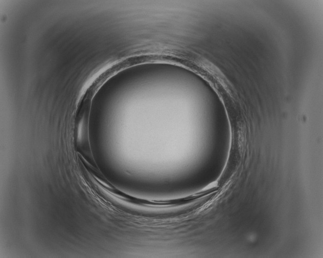 X0000086061069200703301035