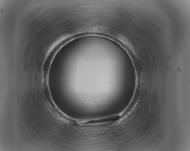 X0000086061070200703301035