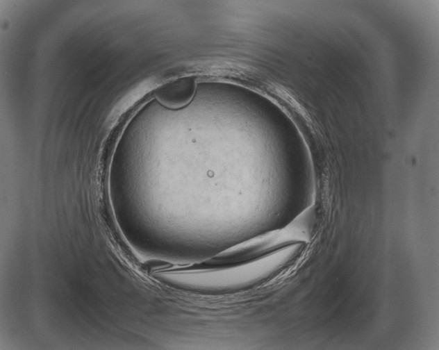 X0000086061071200703301035