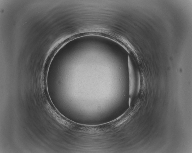 X0000086061072200703301035