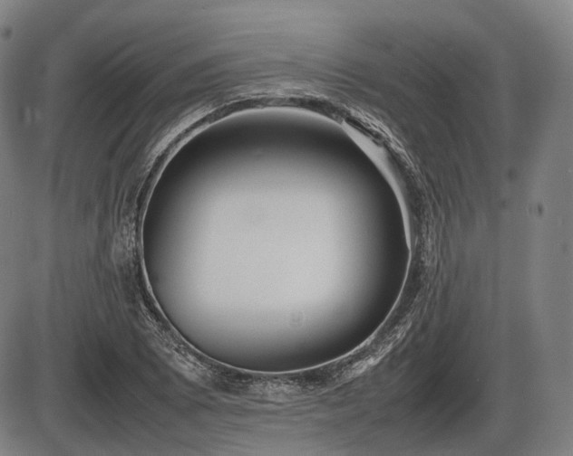 X0000086061073200703301035