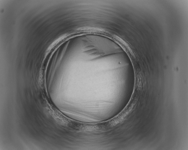 X0000086061074200703301035