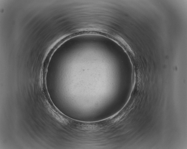 X0000086061076200703301035