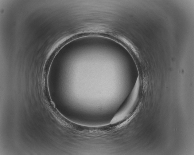 X0000086061077200703301035