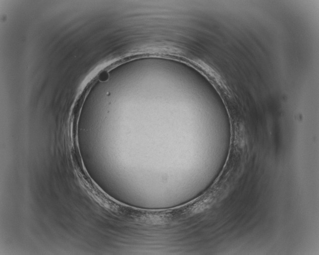 X0000086061078200703301035