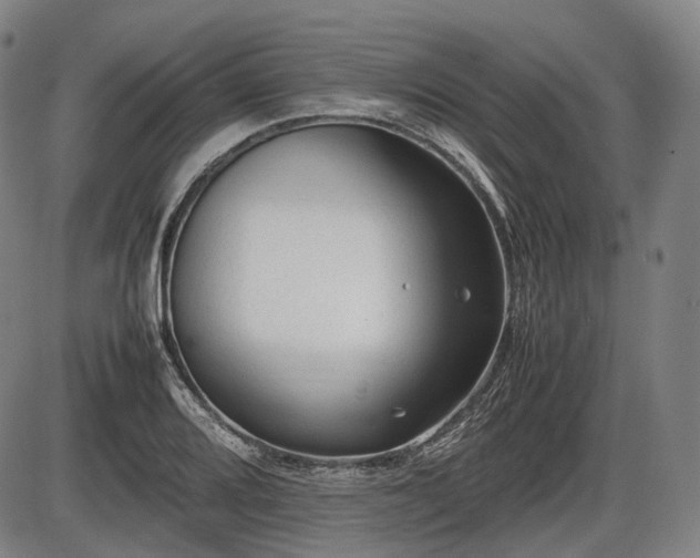 X0000086061080200703301035