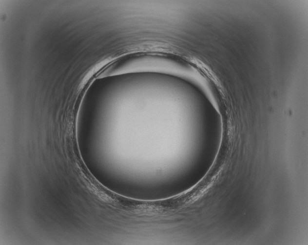 X0000086061081200703301035