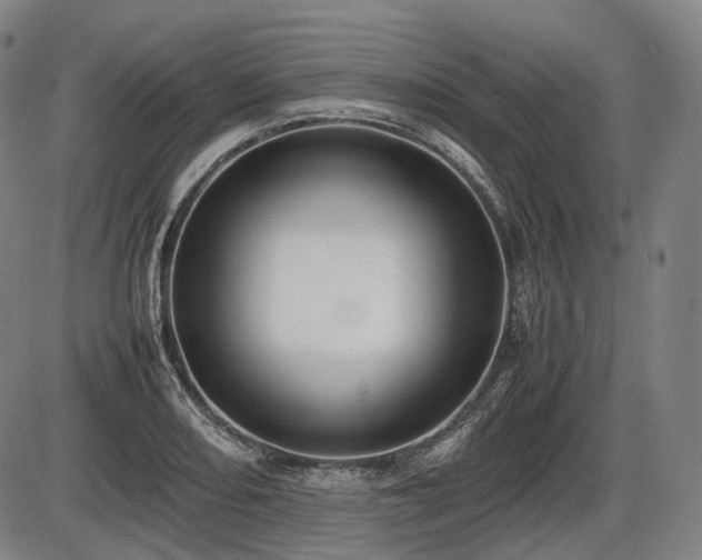 X0000086061082200703301035