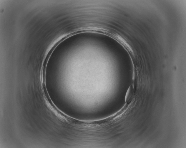 X0000086061084200703301035