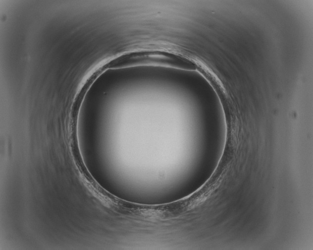 X0000086061085200703301035