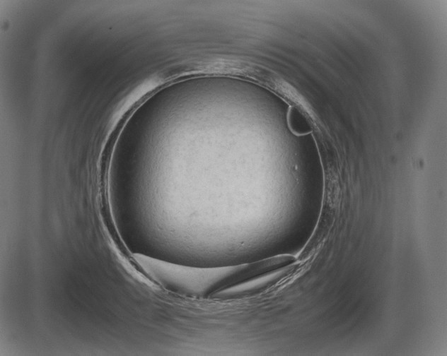 X0000086061087200703301035