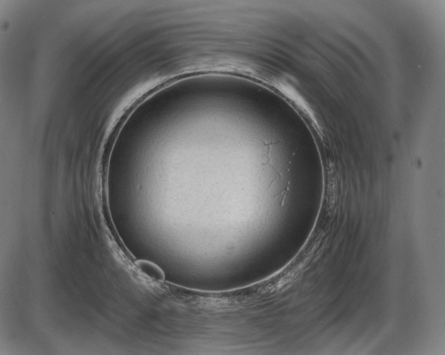 X0000086061088200703301034