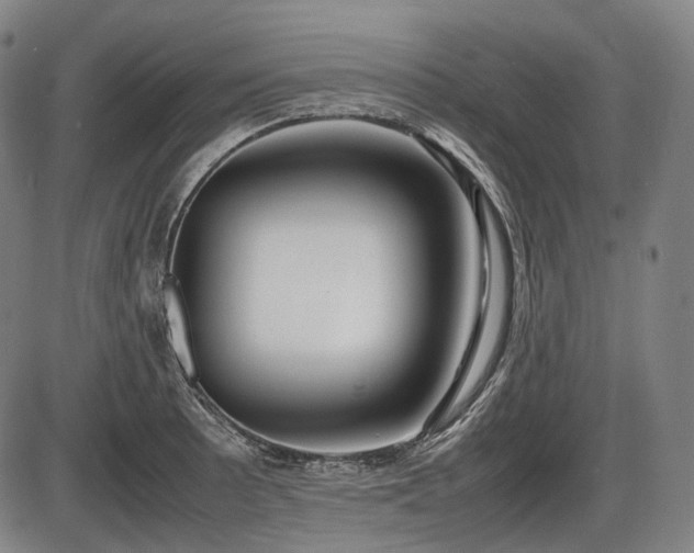 X0000086061089200703301034