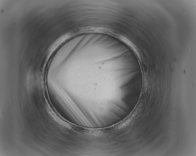 X0000086061090200703301034