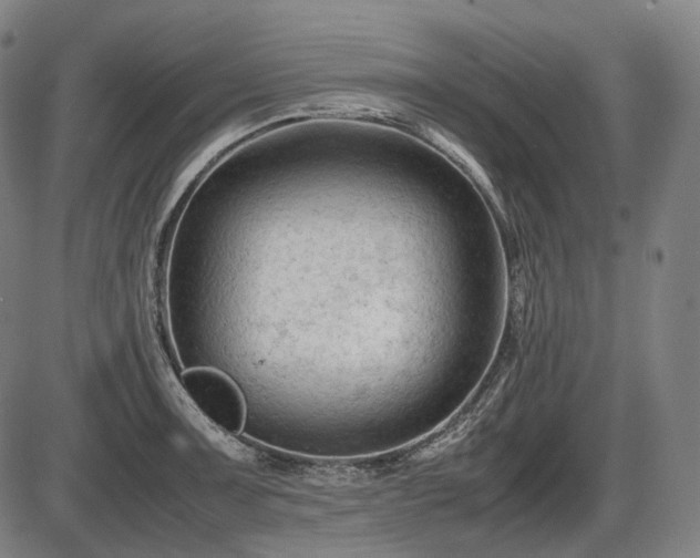 X0000086061091200703301034