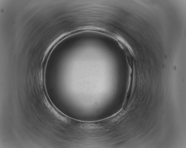 X0000086061092200703301034