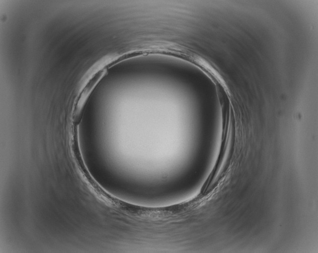 X0000086061093200703301034