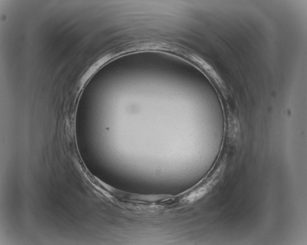 X0000086061097200703301034