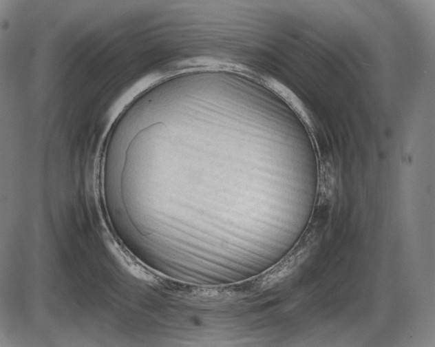 X0000086061098200703301034