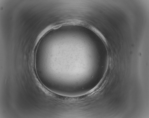 X0000086061099200703301034