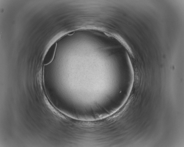 X0000086061100200703301034