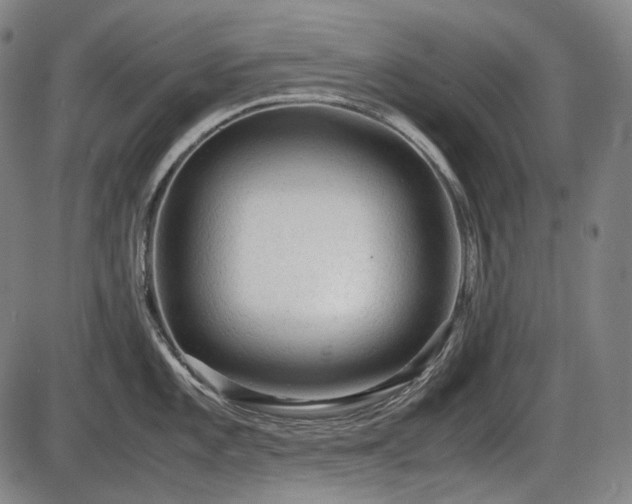 X0000086061101200703301034