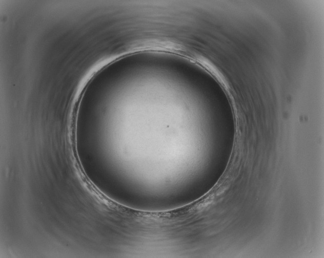 X0000086061104200703301034