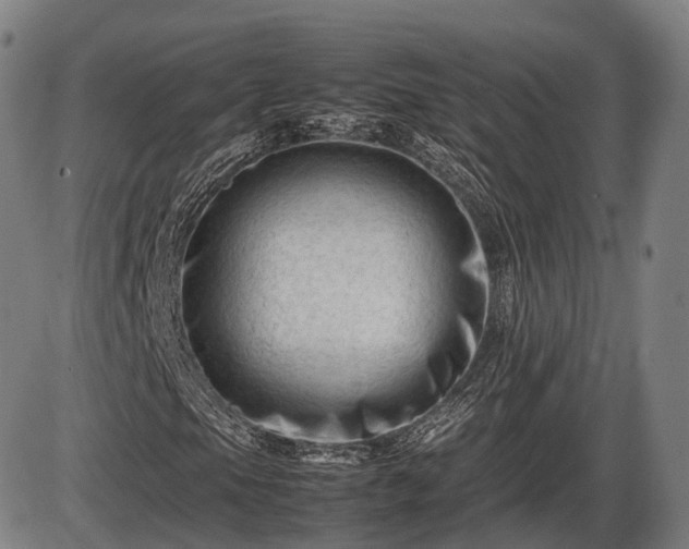 X0000086061105200703301033