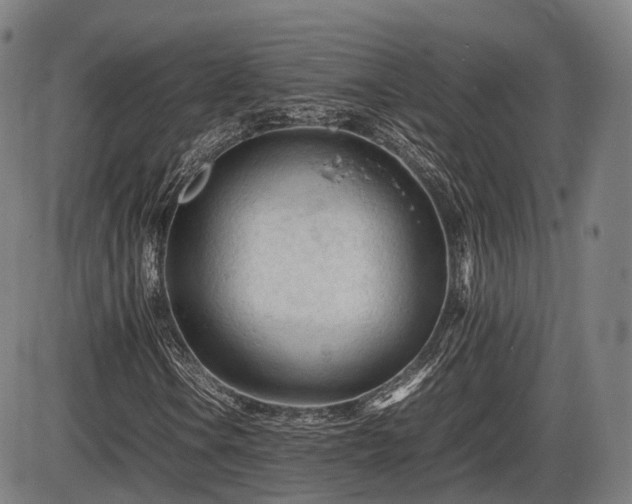 X0000086061106200703301033