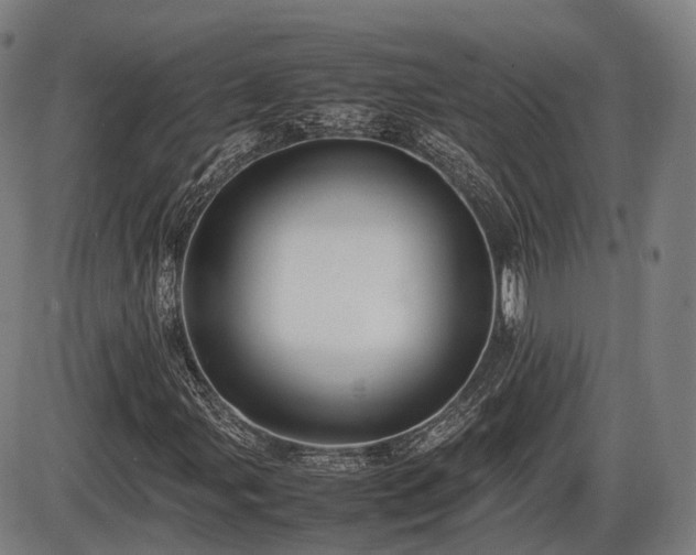 X0000086061107200703301033