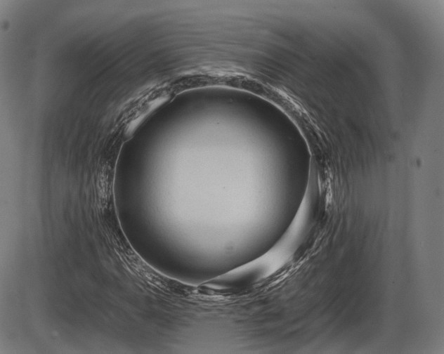 X0000086061110200703301034