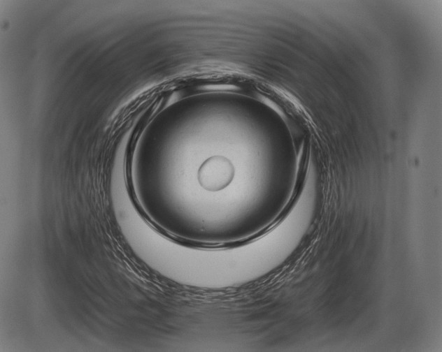 X0000086061112200703301034