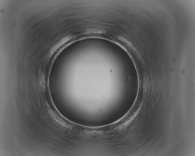 X0000086061113200703301034