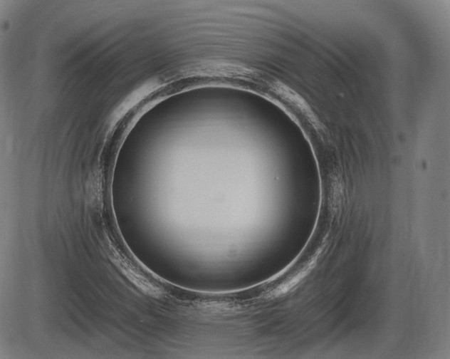 X0000086061114200703301034