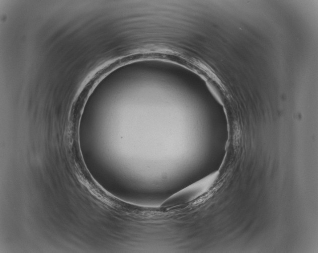 X0000086061116200703301034