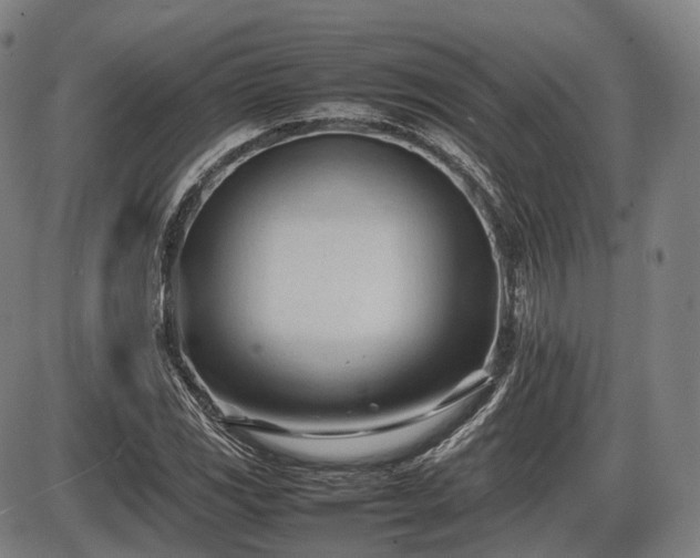 X0000086061117200703301034