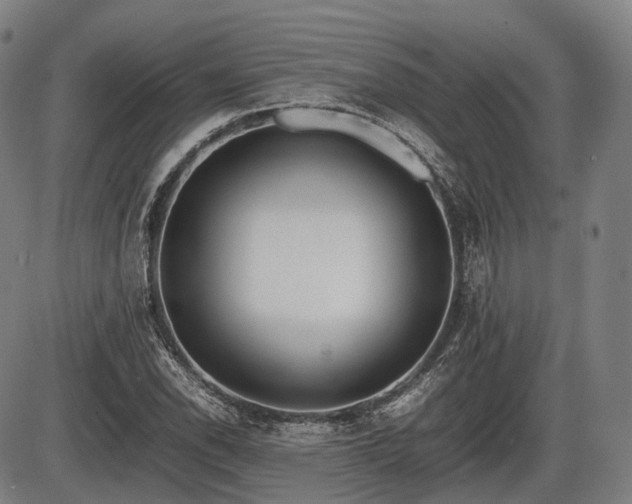 X0000086061118200703301034